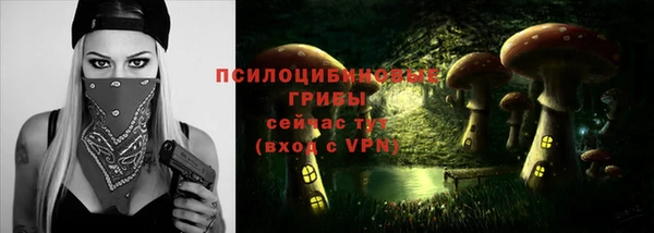 шишки Лиски