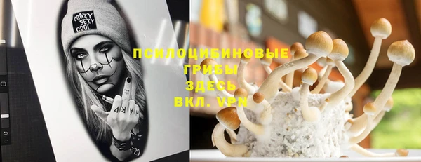 ГАЛЛЮЦИНОГЕННЫЕ ГРИБЫ Абинск
