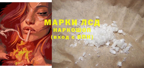 стаф Алексин