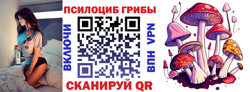 купить наркотики цена  OMG вход  Галлюциногенные грибы Psilocybine cubensis  Чулым 